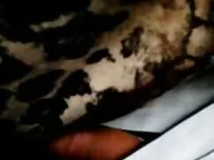 স্বামী ও স্ত্রী এইচড ...