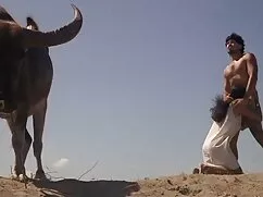মহিলার দ্বারা সেক্স  ...