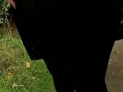 মাই বাংলা সেক্স এইচড ...